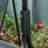 Virag Steel Outdoor Lounge Chair-1180329556