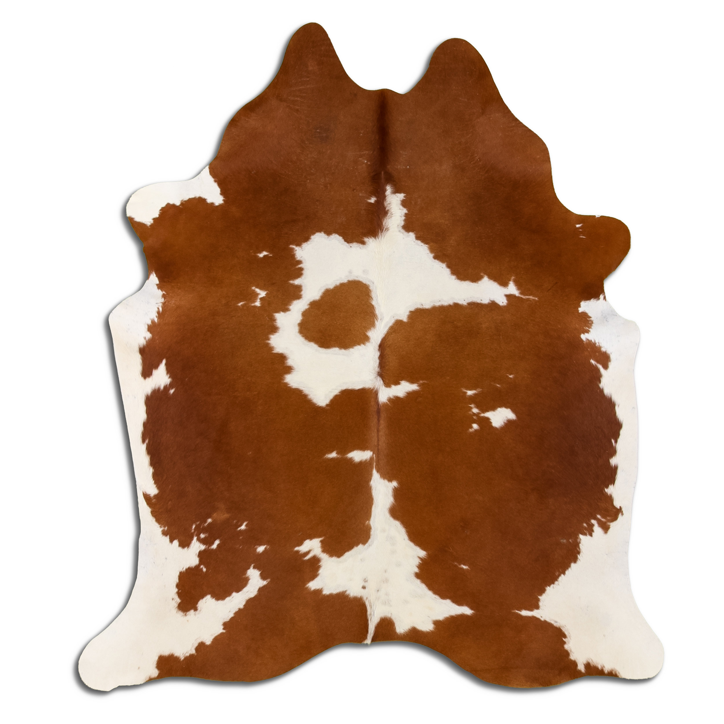 Gracie Oaks Ahrens Animal Print Handmade Cowhide Brown Area Rug | Wayfair