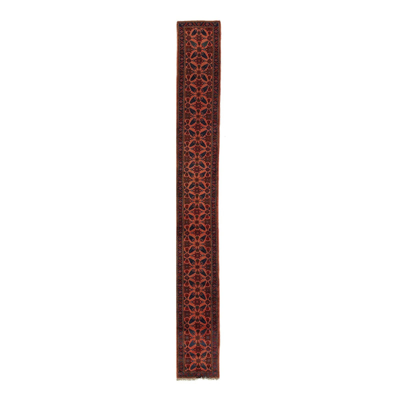 Xaver Oriental Area Rug in Rust
