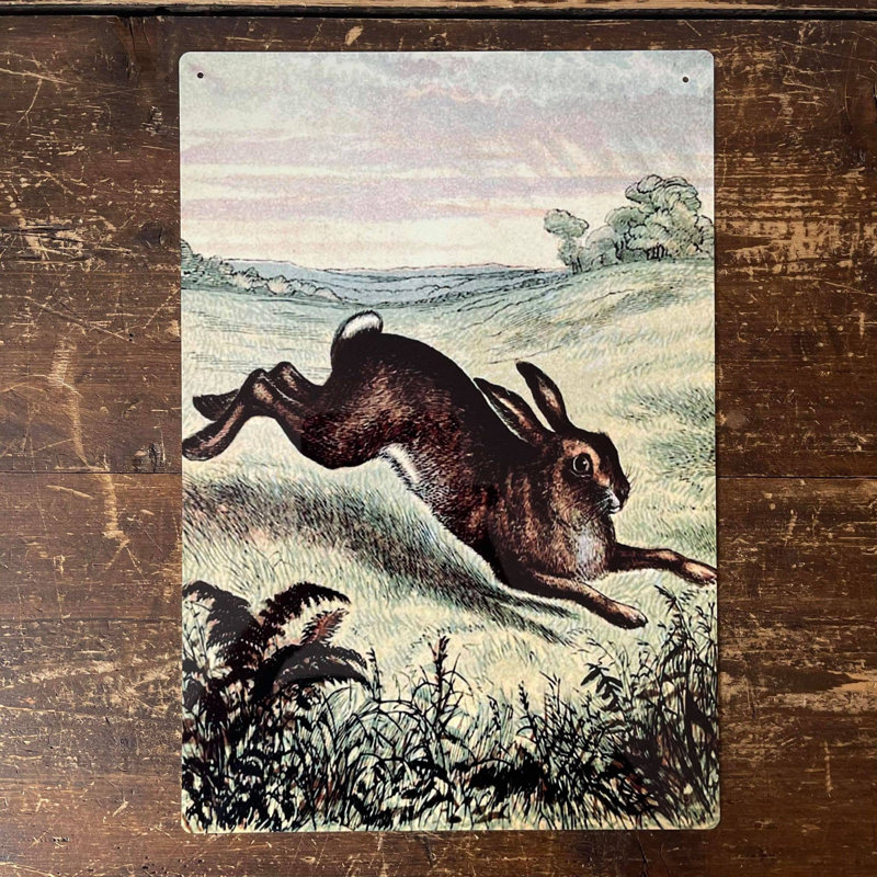 Animals Wall Decor, 25cm H x 20cm W