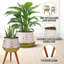2 pots de fleurs d'intérieur pour plantes d'intérieur Mineko 2 pièces, 26 po, 19 po