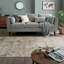 Tapis gris en laine et en coton 8 pi 11 po x 5 pi 9 po sans motif et pas de couleur unie