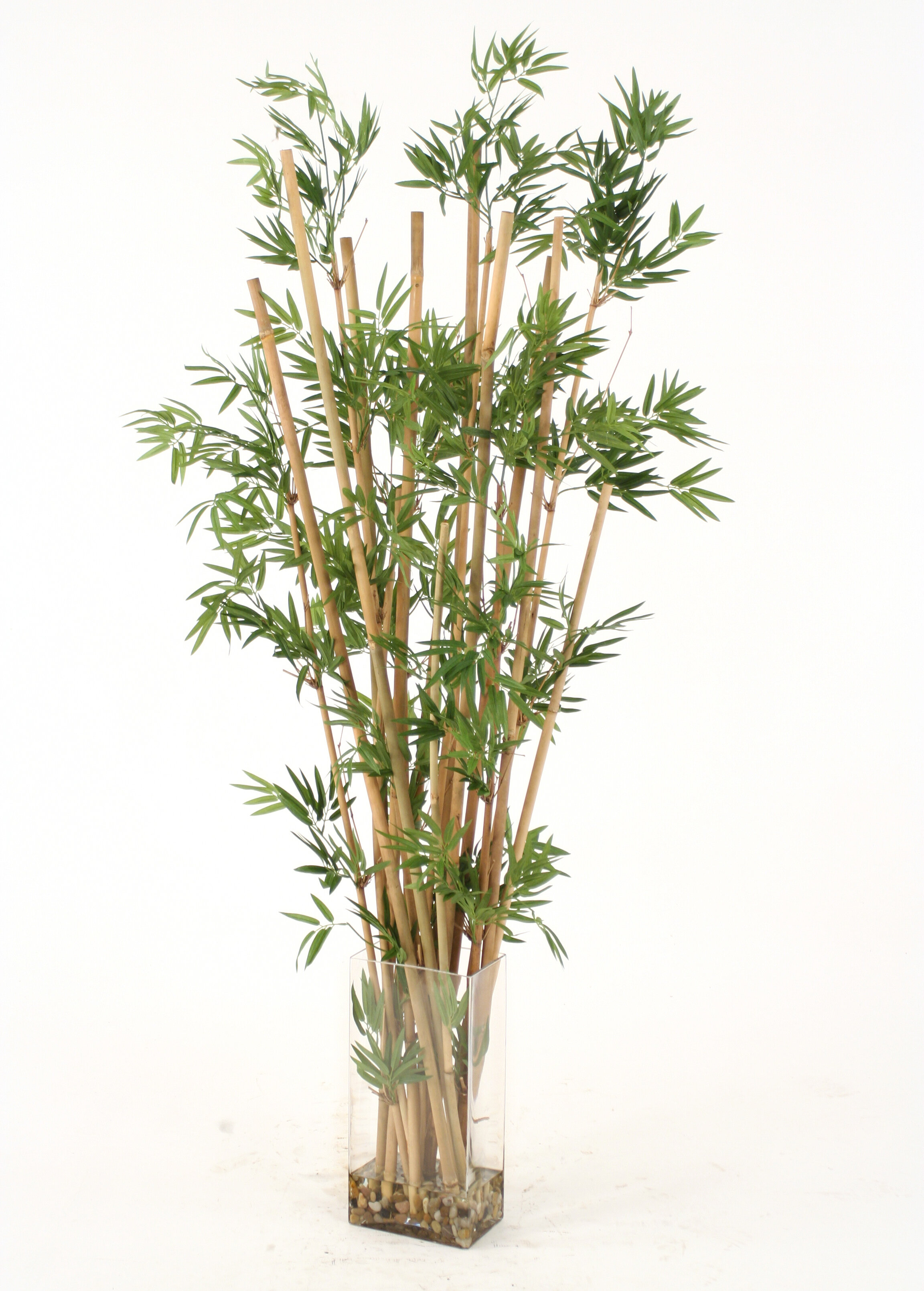 https://assets.wfcdn.com/im/53859055/compr-r85/1554/15543148/chiara-66-bamboo-plant-in-glass-vase.jpg