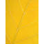 Autumn Leaf Print by Philippe Monthoux-65796456-65796458