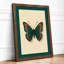 Teal Butterfly Study Botanical - Framed Print-1564792726-1564792731