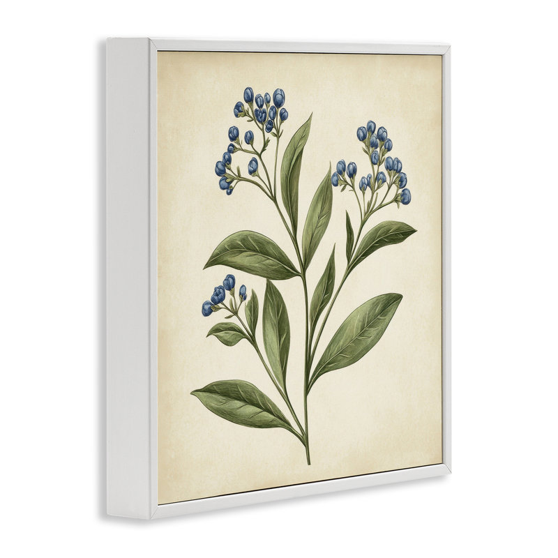 Buds Botanical Illustration Framed Giclee, design by Petal Prints Design, 17" H x 17" W, Coastal White Framed Giclee