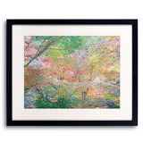 Autumn Maples Design Print by Bruce Heinemann