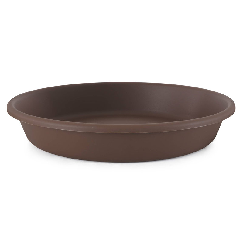 Ramyiah Pot Planter