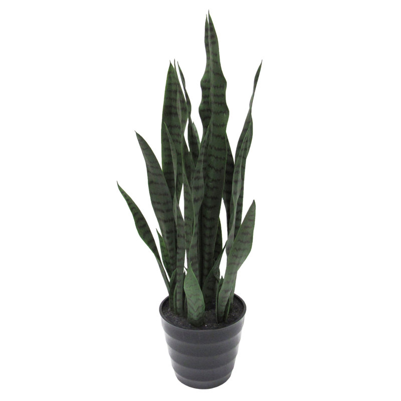 Plante de serpent artificielle Sansevieria en pot, Vert foncé, 32" H x 10" W