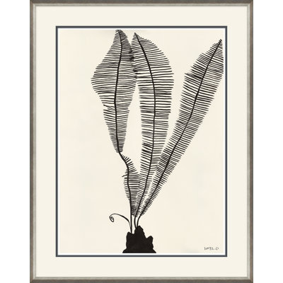 Susan Hable " Scissor Fern " by Susan Hable