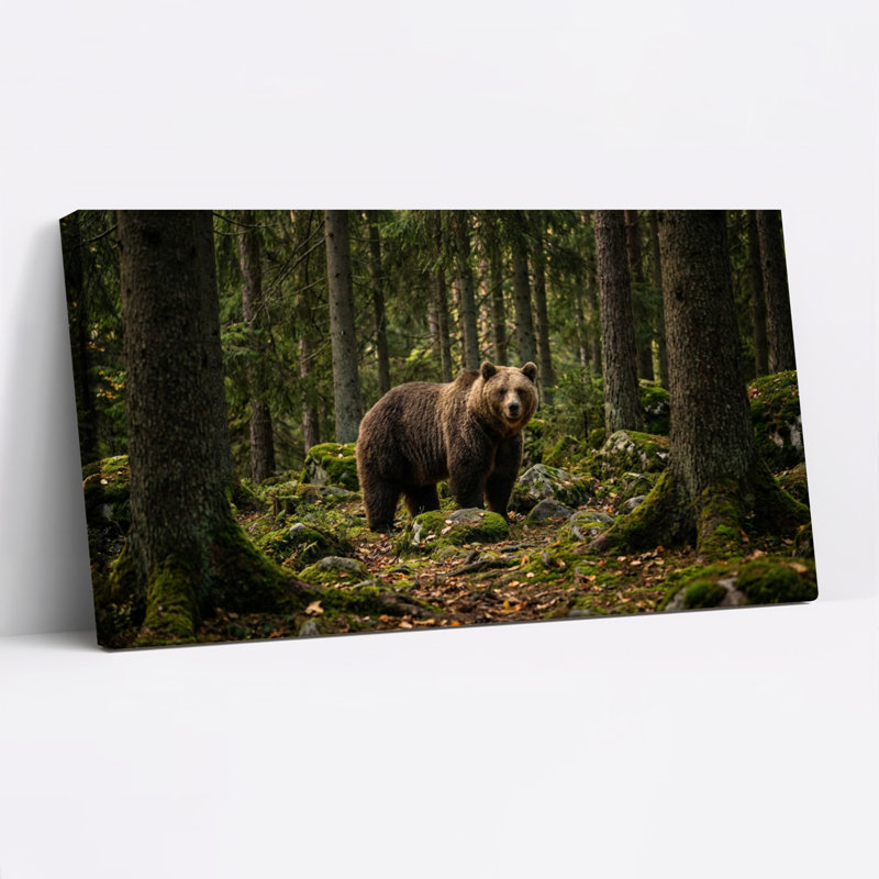 Ours brun dans la forêt, reproduction d'art sur toile, reproduction de la faune pour le salon, chambre à coucher, décor à la maison