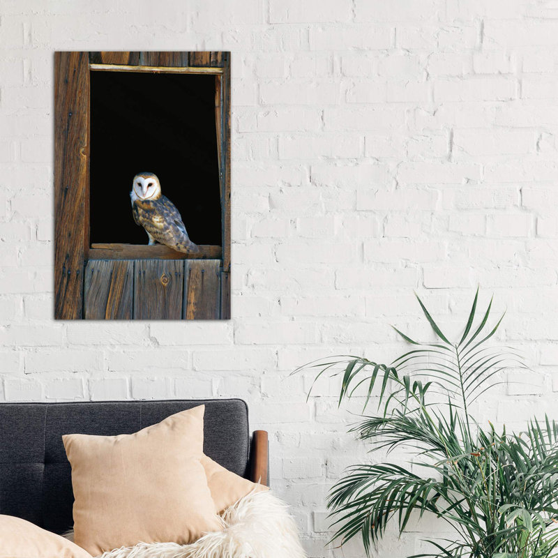 Barn Owl Perching On Barn Window, North America by Konrad Wothe - Wrapped Canvas Print, 101.6 cm H x 66.04 cm W x 1.91 cm D