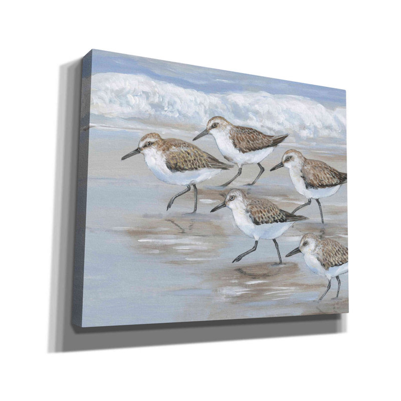 «Sandpipers I» par Tim O'toole, art mural sur toile, H 20 po x l 24 po x P 0,75 po