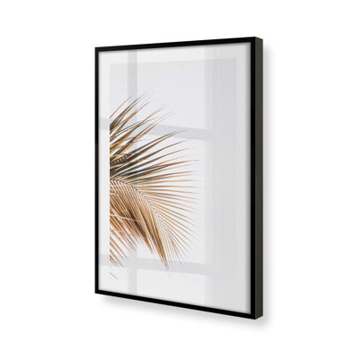 Palm Palm Harmony, dans un cadre,