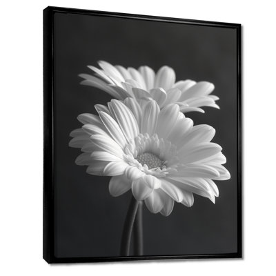Monochrome Black And White Bliss Daisy Photo I - Daisies Wall Art Print