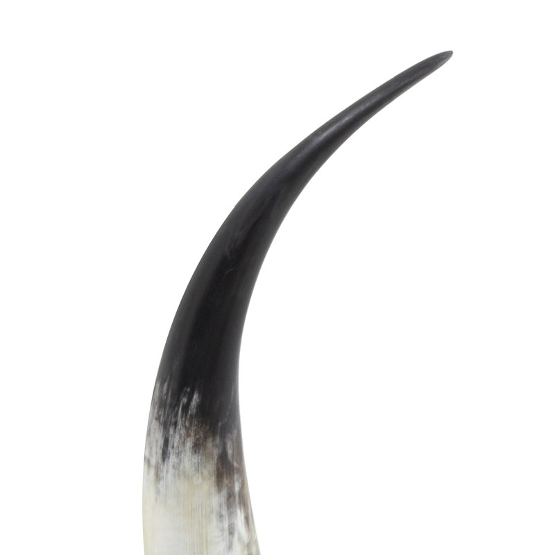 Daylon Animals Decorative Object