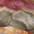 Machine Washable Indoor/Outdoor Xhevrie Khaki Rug-814017051