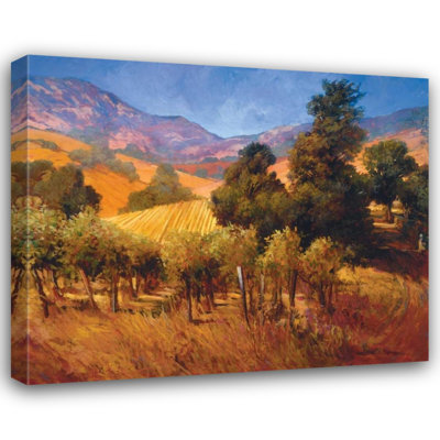  Craig, Philip Gallery Wrapped Canvas Art Titled: Southern Vineyard Hillside