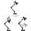 Adinda Desk Lamp