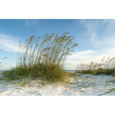 Twilight Dunes View by Beachcottagephotography
