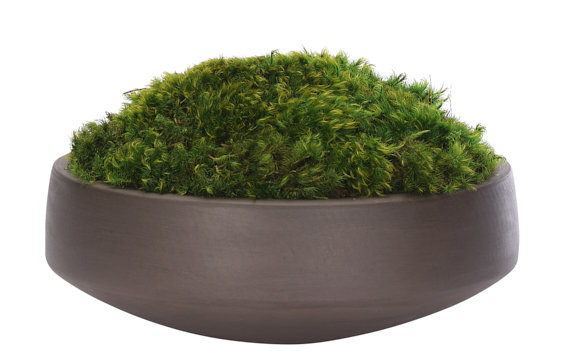 Moss Mound, Concrete Bowl, 12wx12dx7h
