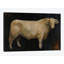 «Beau» par Avery Tillmon, reproduction sur toile tendue-72507655-27702464-72507656