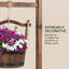 Outdoor Wood Sculptural Fountain