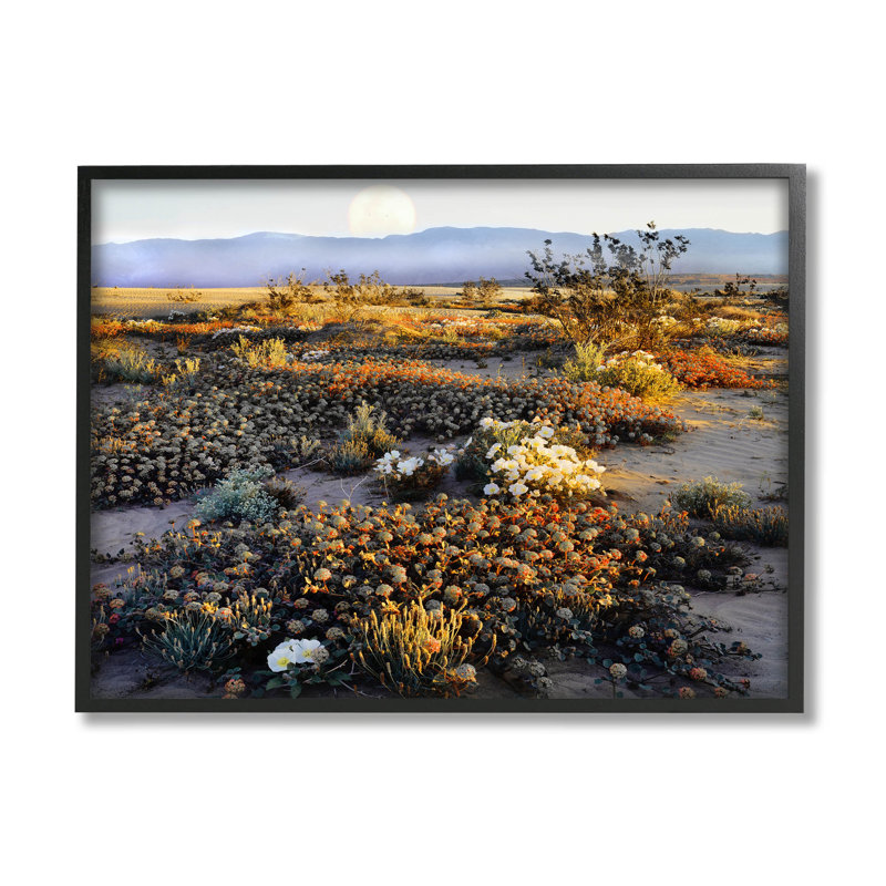 Art de la giclée par Danita Delimont, Giclée encadrée noir minuit, H 11 po x l 14 po x P 1,5 po