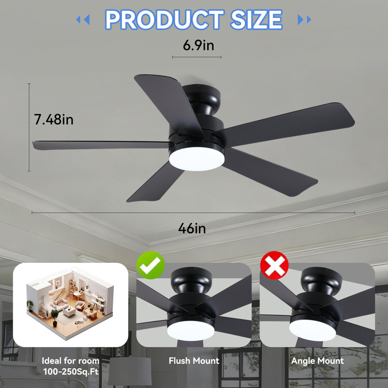 41"/46" 5-Blade Flush Mount Ceiling Fans With Lights And Remote/App, Black, 46" Wide