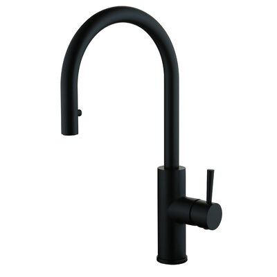 Casmir Pull Down Single Handle Kitchen Faucet -  CMI, 192-7169