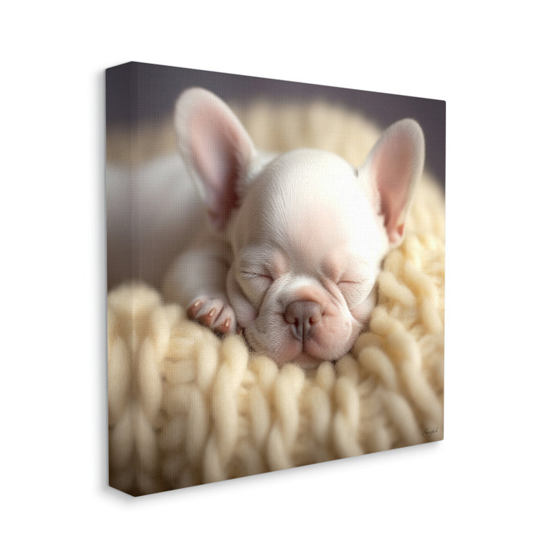 " Tiny Puppy Sleeping " by Roozbeh, 17" H x 17" W x 1.5" D
