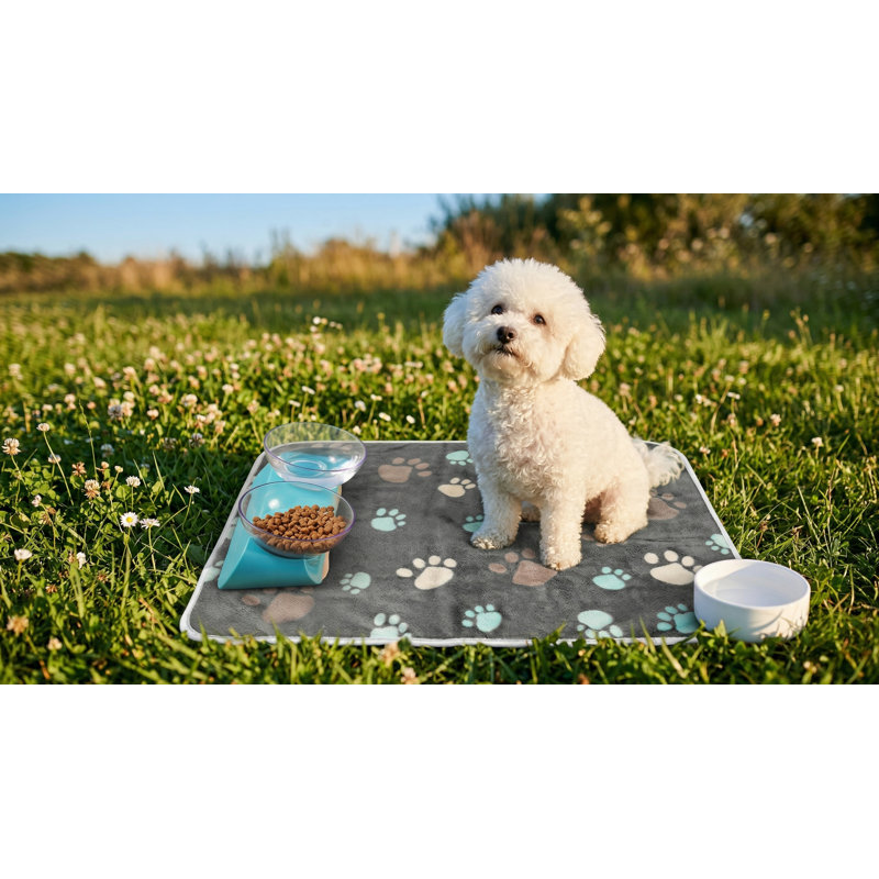 Ensemble de 4 serviettes lavables. Housse de protection pour chien et lit pour chat résistant à l'eau. Couverture douce. Jeté moelleux et réversible avec motif d'empreintes de pattes. Chaude et convient aux petits chiens. Couleur: noir.