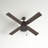 Flosser 52'' Ceiling Fan with Light Kit-412320651