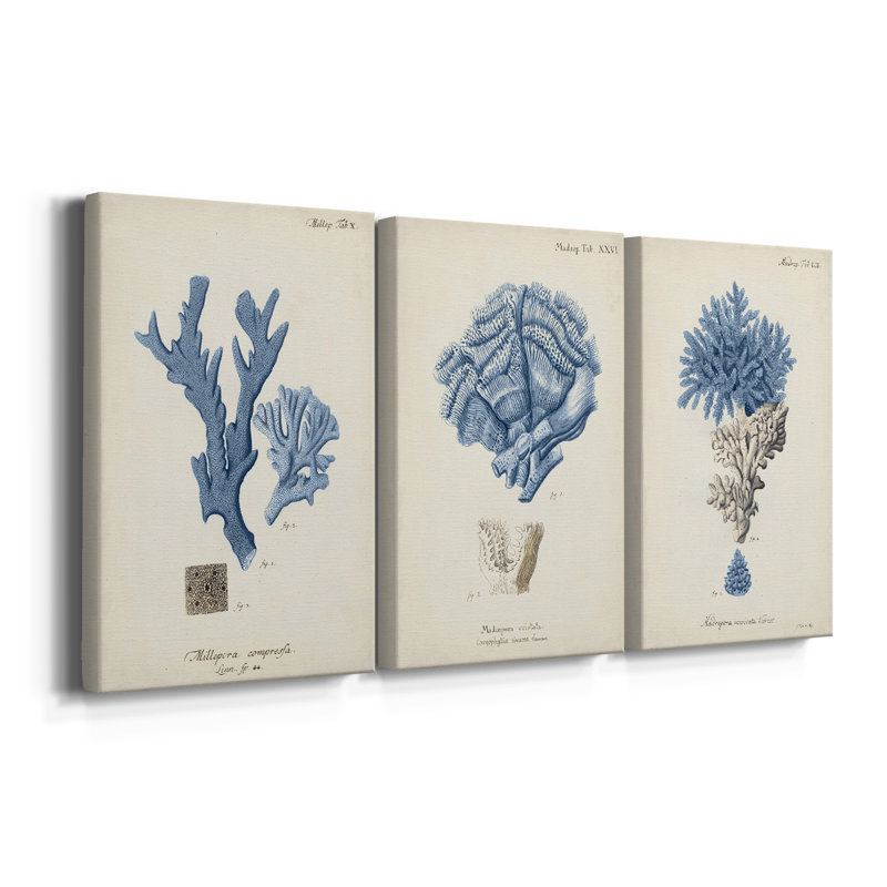 Corail antique en bleu marine I - Toile tendue avec châssis sur mesure - 3 pièces, H 48 po x l 96 po
