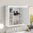 35" X 28" Wall Mounted Bathroom Mirror Cabinet with Open Shelves - White-1965687155