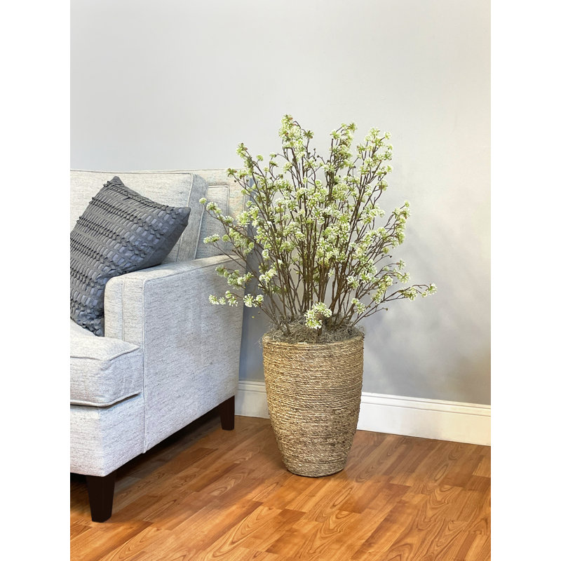 Cornus Spray Arranged in a Straw Grass Cement Pot