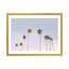Photographie « california trees »-43719364-43719366