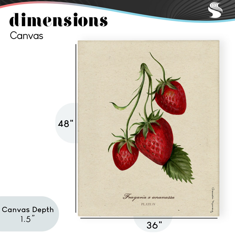 Portrait de fraise, toile par Danielle Murray, H 48 po x l 36 po