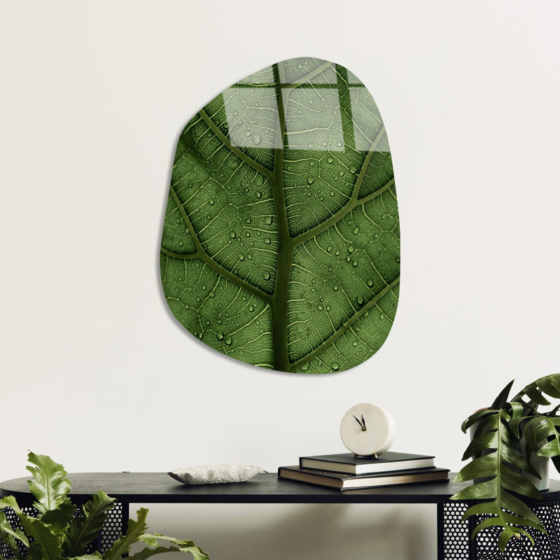 Boze Wall Decor