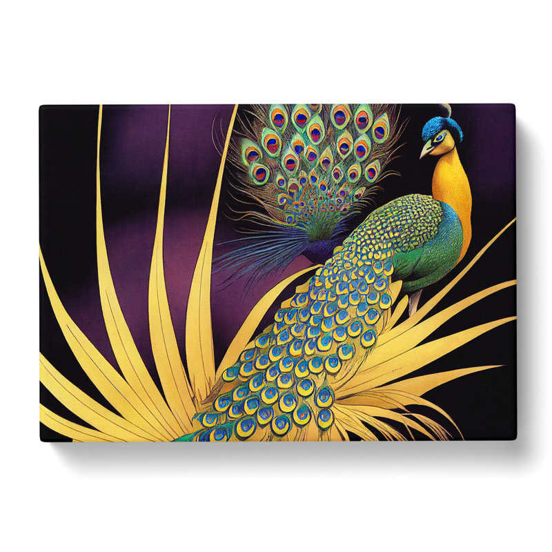 Captivating Peacock - Wrapped Canvas, 40cm H x 60cm W x 3cm D