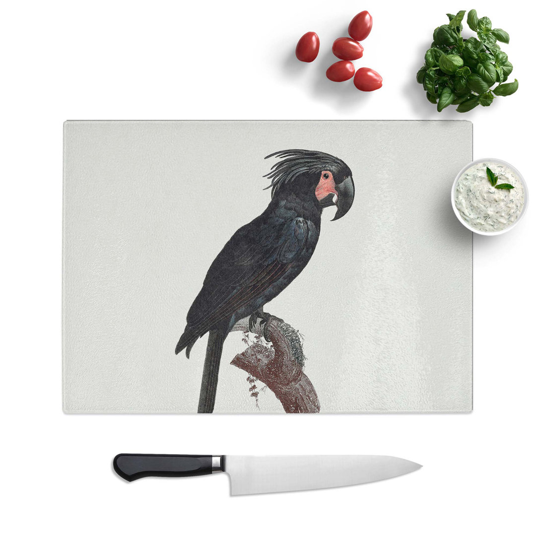 Tempered Glass Palm Cockatoo by F. Levaillant Chopping Board