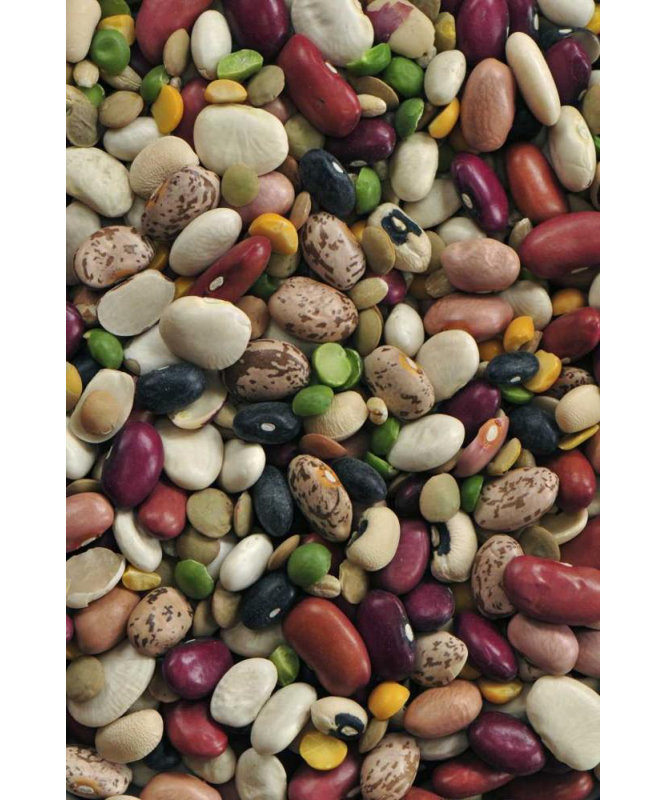«Red Barrel Studio® Terrill, Steve Gallery», art sur toile tendue: Mélange de soupe aux haricots secs colorés