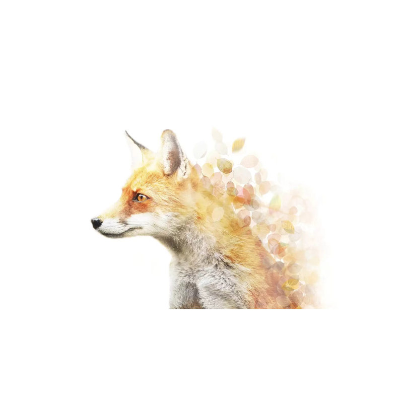 Winter Foxy - Wrapped Canvas Print, 20.32 cm H x 30.48 cm W