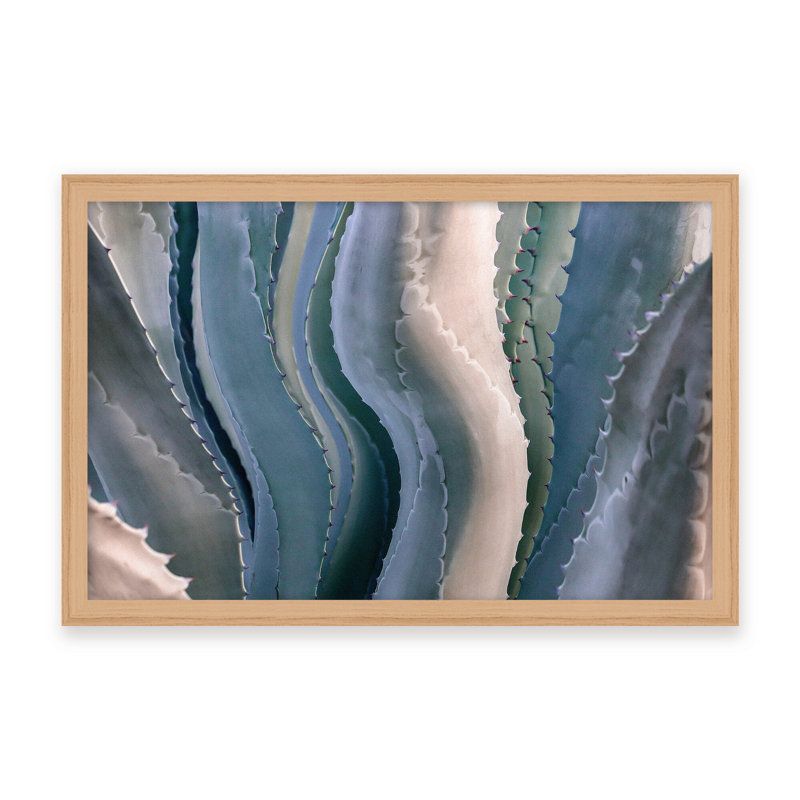 Nature Inspired Sonoma Summertime Roadside Abstract by  - Picture Frame Photograph on Paper, Framed Canvas, White
