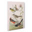 A Selection of Birds by John James Audubon - Wrapped Canvas-55368332