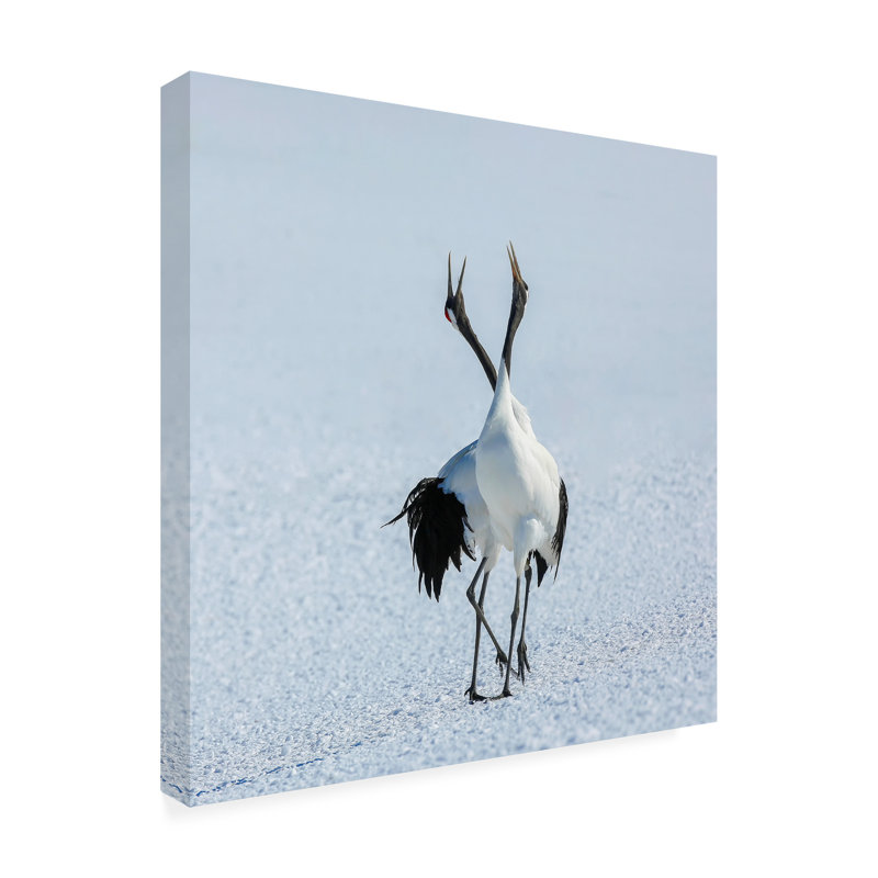 Raymond Ren Rong Pas Dedeux Canvas Art, 14" H x 14" W