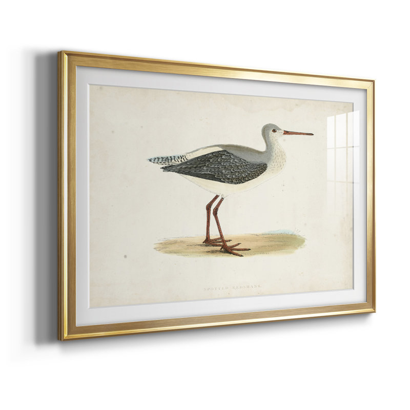 Morris Sandpipers I - reproduction de cadre photo, L 30,5 po x H 22,5 po, Or