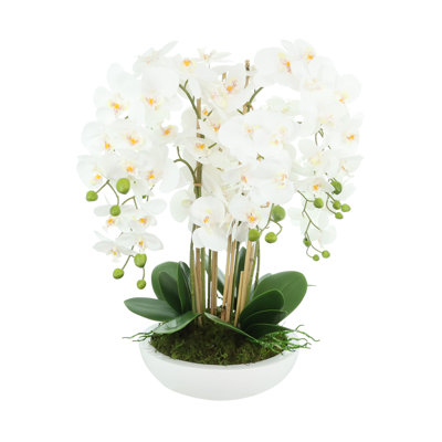 Orchid Floral Arrangement