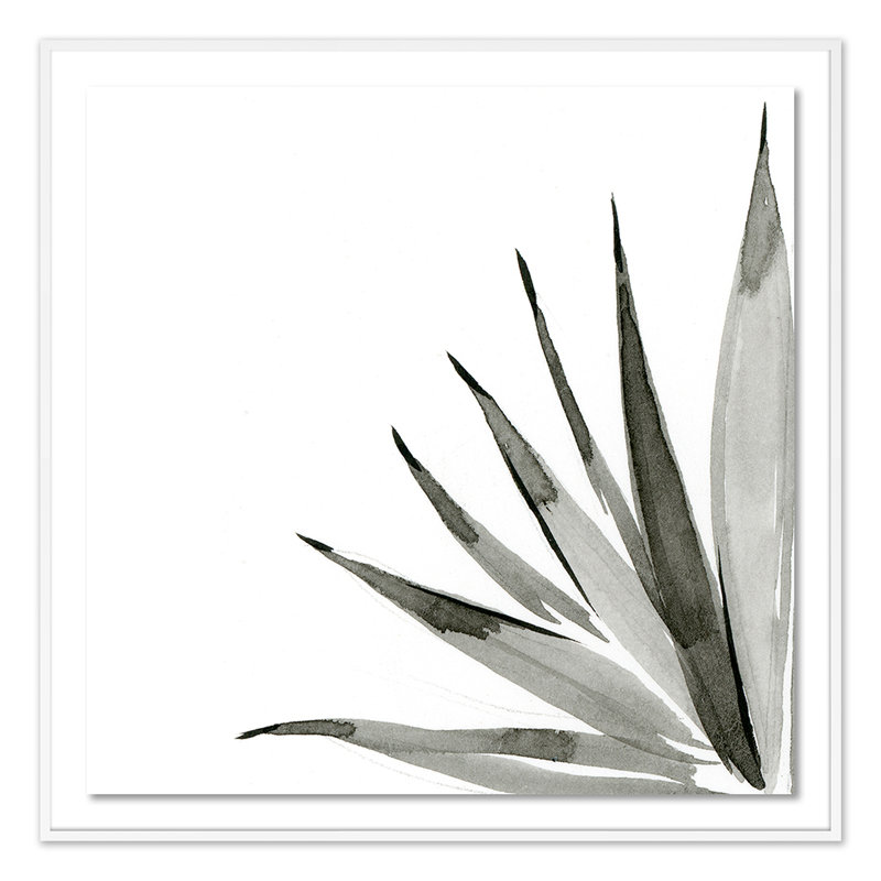 Agave I Print by Jess Engle, 40" H x 40" W x 2.5" D, White