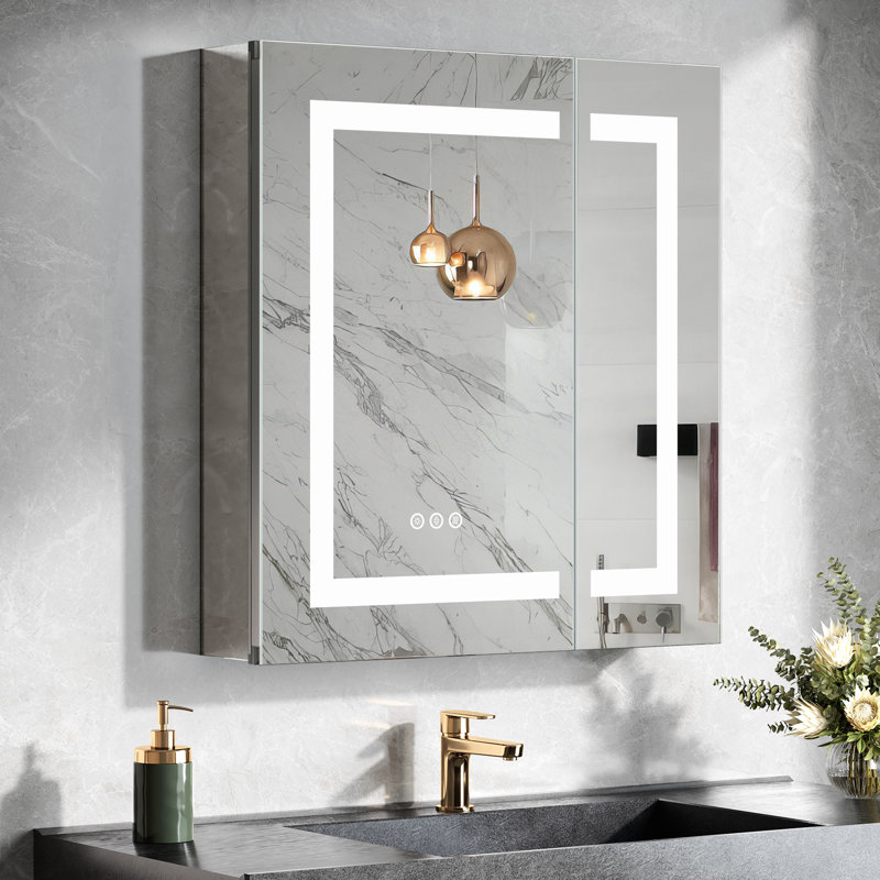 Hilvert Recessed or Surface Mount LED Lighted Medicine Cabinet with Mirror & 2 Adjustable Shelves, Dimmable